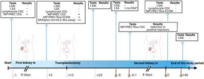 Renal Endothelial Cytotoxicity Assay to Diagnose and Monitor Renal Transplant Recipients for Anti-Endothelial Antibodies